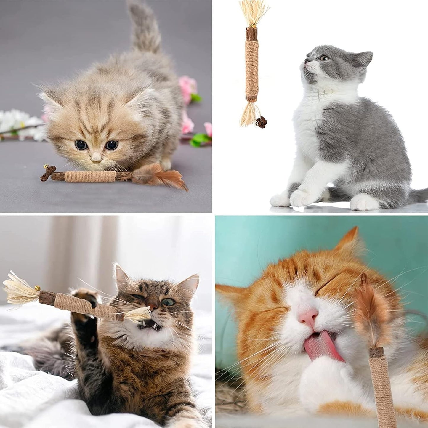 Katzenminze Zahnpflege-Sticks