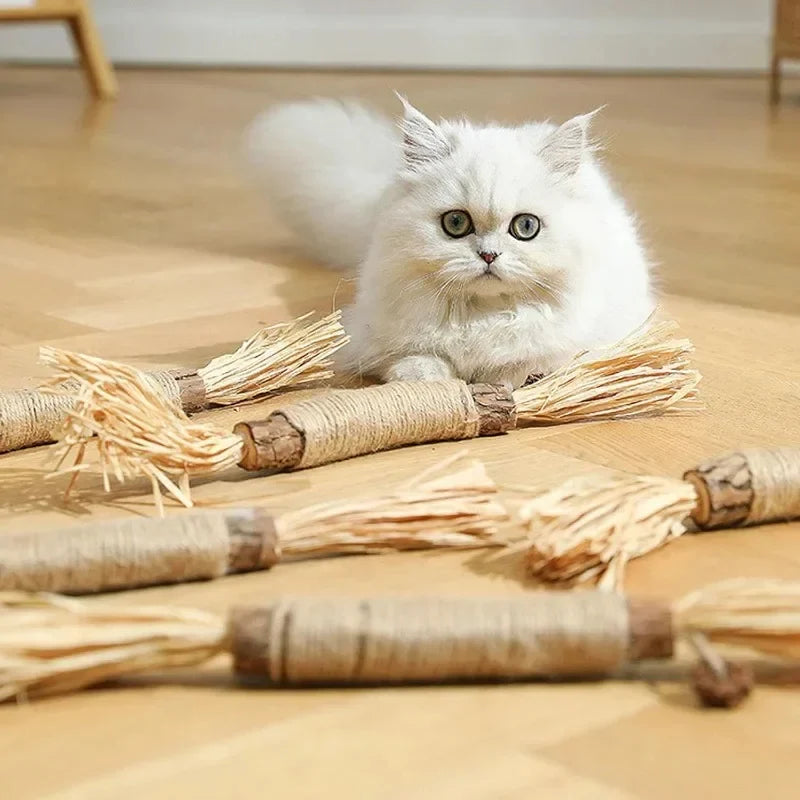 Katzenminze Zahnpflege-Sticks
