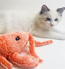 Floppy Lobster - Interaktives Katzenspielzeug